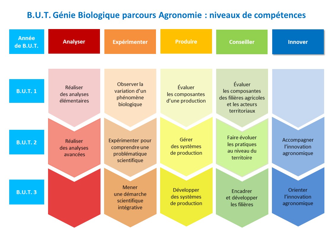 But Génie Biologique Parcours Diététique Et Nutrition