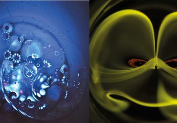 “Beautiful Science” une exposition à la BU du campus Grillebreit